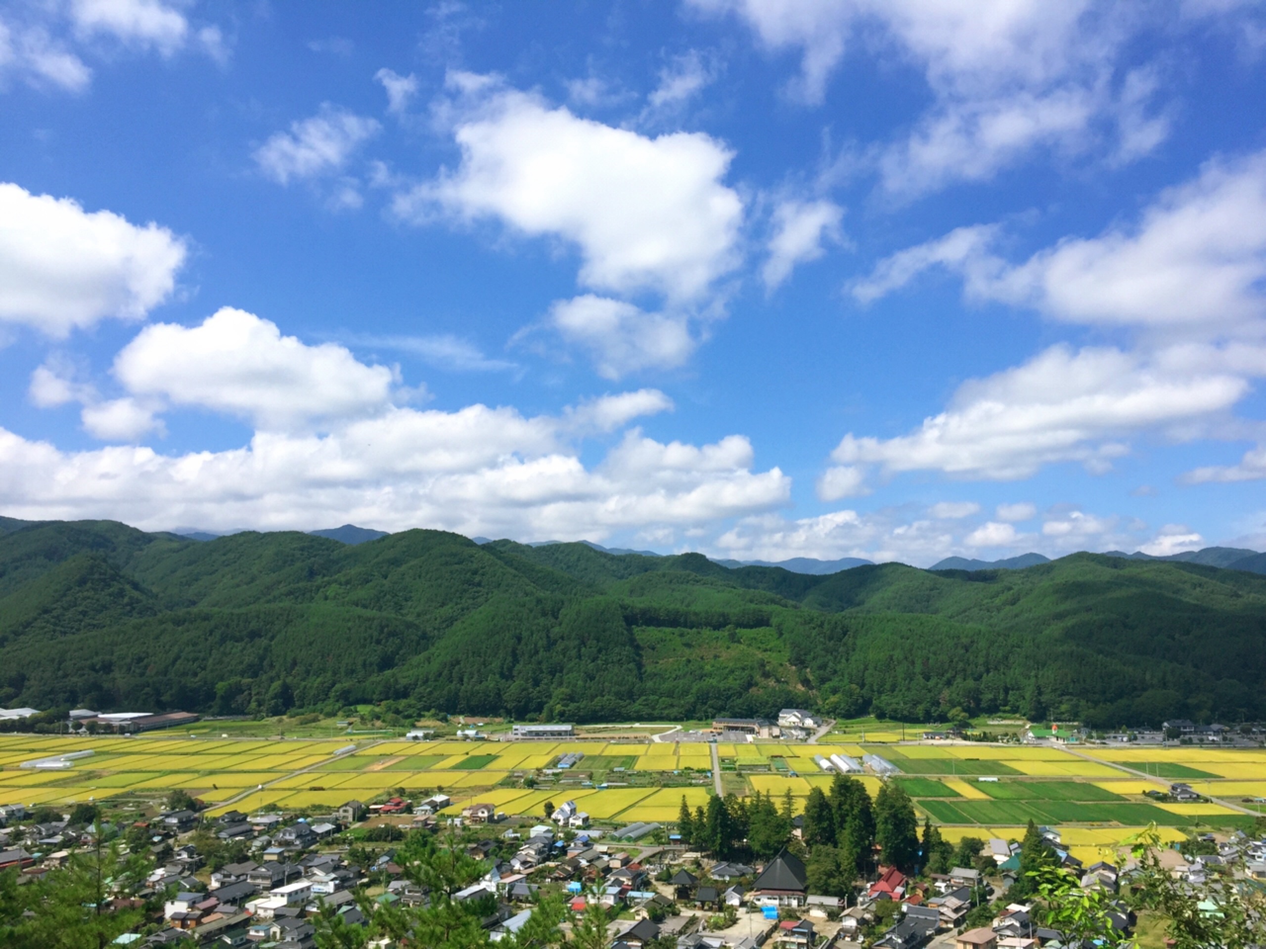 長和町へ移住をお考えの方へ | 長野県の不動産情報ポータル 信州に住ーむず